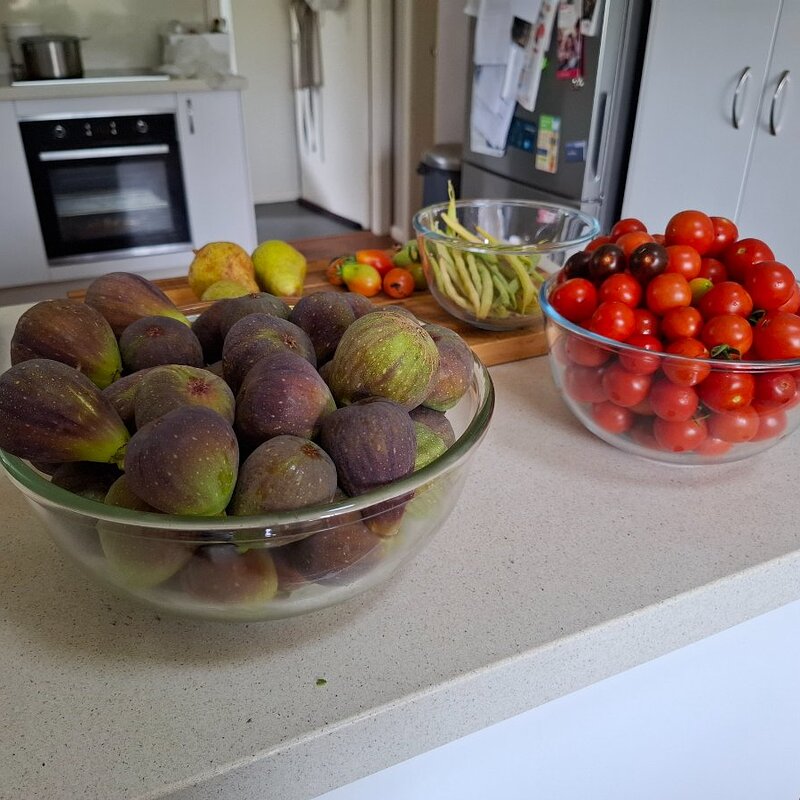 figs, tomatoes, beans, courgettes and pears