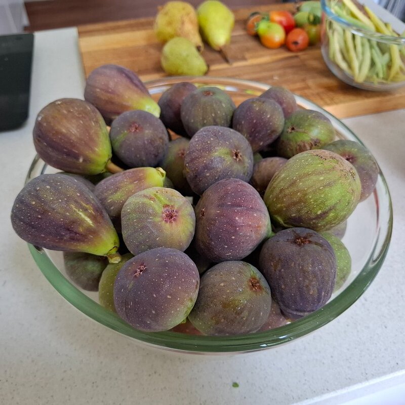 figs, tomatoes, beans, courgettes and pears