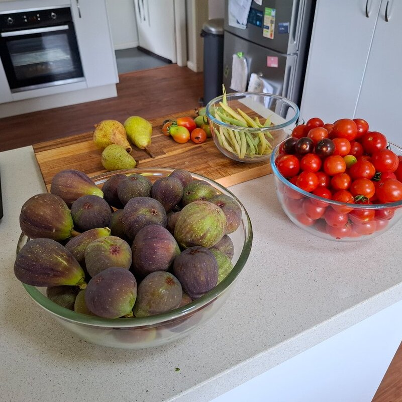 figs, tomatoes, beans, courgettes and pears