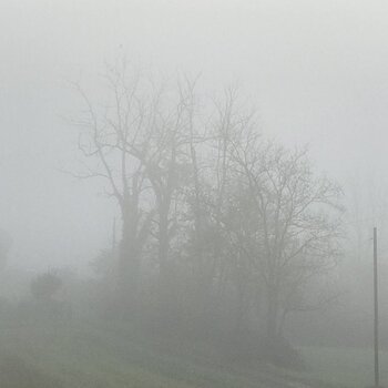 A foggy early morning.jpeg