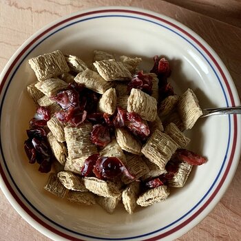Shredded Wheat And Dried Cranberries