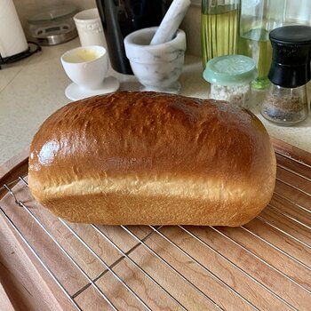 Buttermilk-Molasses Bread