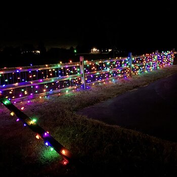 Christmas Lights!