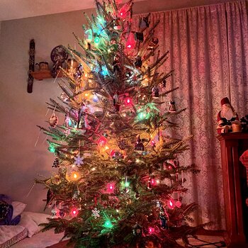 Finished Tree, First Gift