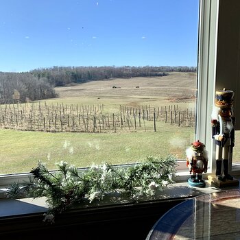 Winzerwald Tasting Room View