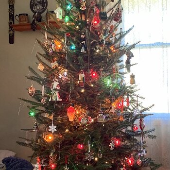 Tree (Daytime)
