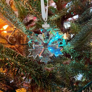 Swarovski Ornament