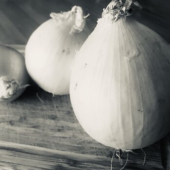 Onions family b/w.jpeg