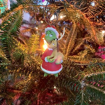 Amputated Grinch