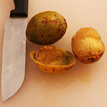 Hog plum fruit s.jpg