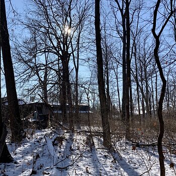 The Homeplace
