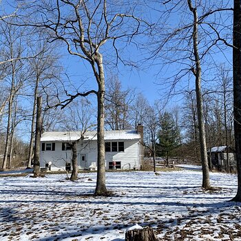 The House