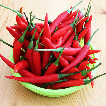 fresh red s.jpg
