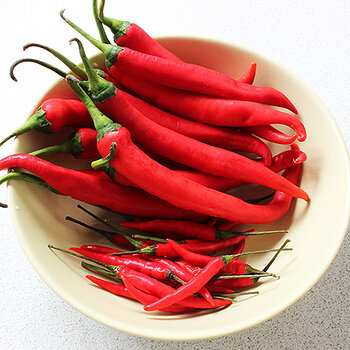 CCC chilies s.jpg