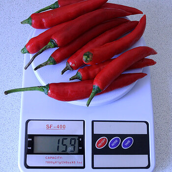 cayenne chilis s.jpg