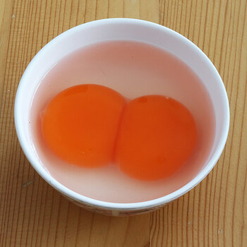 double yolk duck egg s.jpg