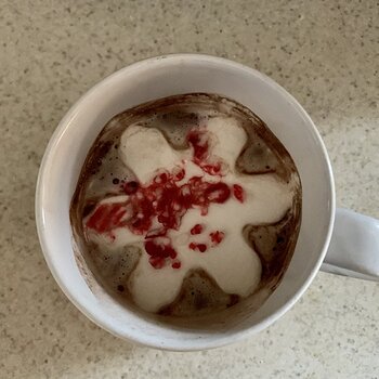 Hot Chocolate And Peppermint Marshmallow