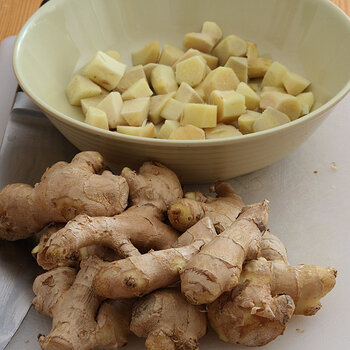 ginger s.jpg