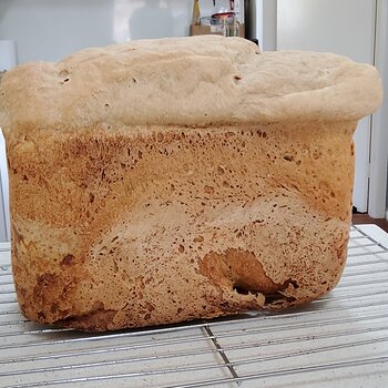 'Floppy Hair Do' Sourdough