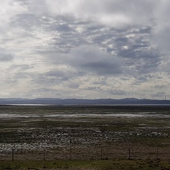 Morecambe Bay?