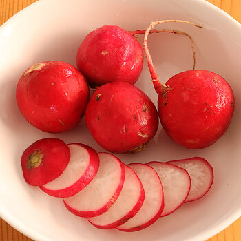 radishes s.jpg