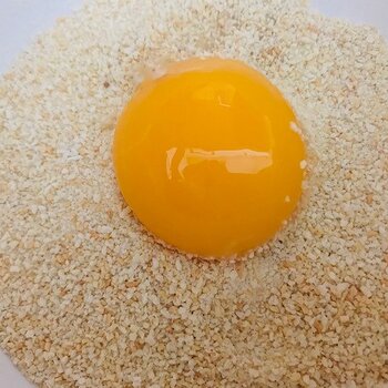 Yolk on breadcrumbs.jpg