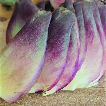 Artichoke Outer Leaves.jpg