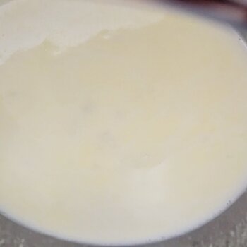 Taleggio cheese sauce.jpeg