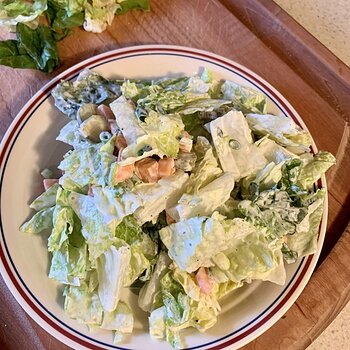 Salad
