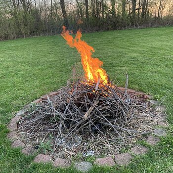 First (Small) Bonfire