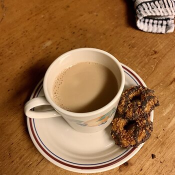 Tea And GS Cookies