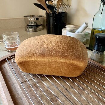 Buttermilk Bread