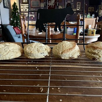 Buttermilk Scones