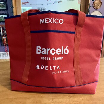 Big Insulated Bag