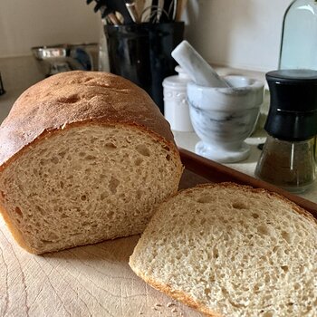 Whole Wheat Bread