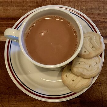 Tea And GS Cookies