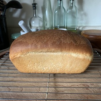 Loaf 1