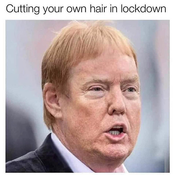 Bad Hair Day Just Got Worse