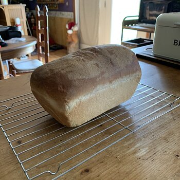 Sandwich Bread