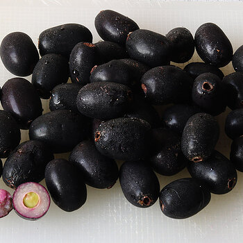 Black plum s.jpg