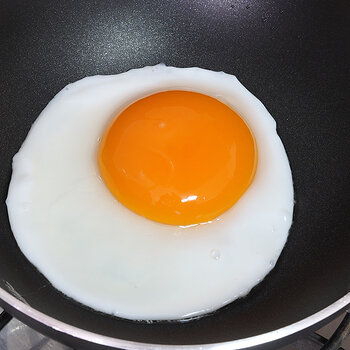 Fried duck egg s.jpg