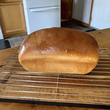 Amish Buttermilk-Sorghum Bread