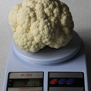 Cauliflower s.jpg