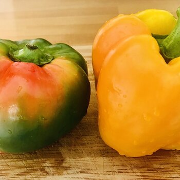 Peppers.jpeg