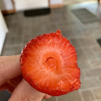 Supermarket Strawberry