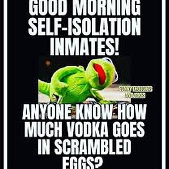 Vodka Eggs