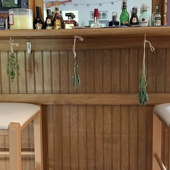 Drying Herbs