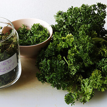 drying parsley s.jpg