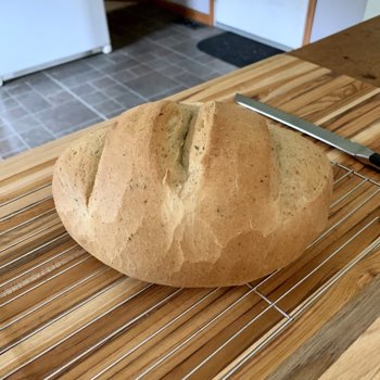 Olive Oil-Italian Seasoning Loaf