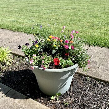 Front Planter